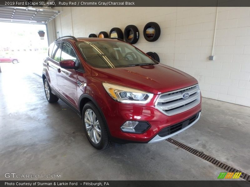 Ruby Red / Chromite Gray/Charcoal Black 2019 Ford Escape SEL 4WD