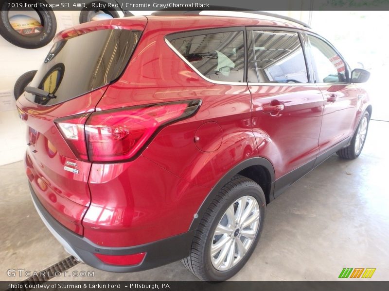 Ruby Red / Chromite Gray/Charcoal Black 2019 Ford Escape SEL 4WD