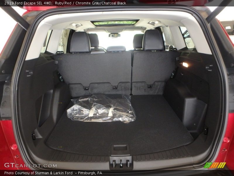 Ruby Red / Chromite Gray/Charcoal Black 2019 Ford Escape SEL 4WD