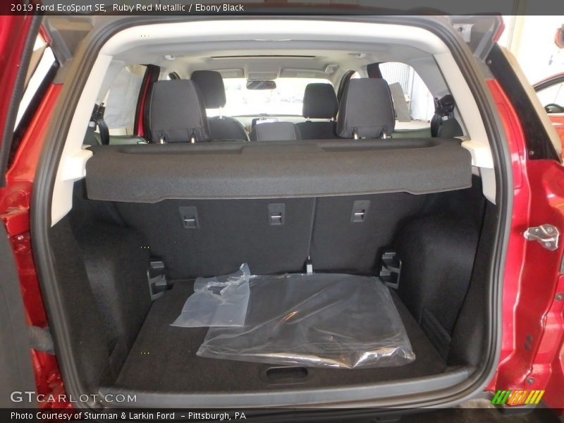 Ruby Red Metallic / Ebony Black 2019 Ford EcoSport SE