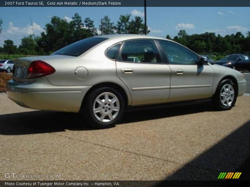 Gold Ash Metallic / Medium/Dark Pebble 2007 Ford Taurus SE