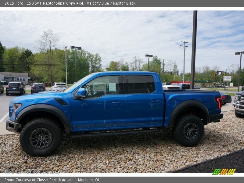 Velocity Blue / Raptor Black 2019 Ford F150 SVT Raptor SuperCrew 4x4