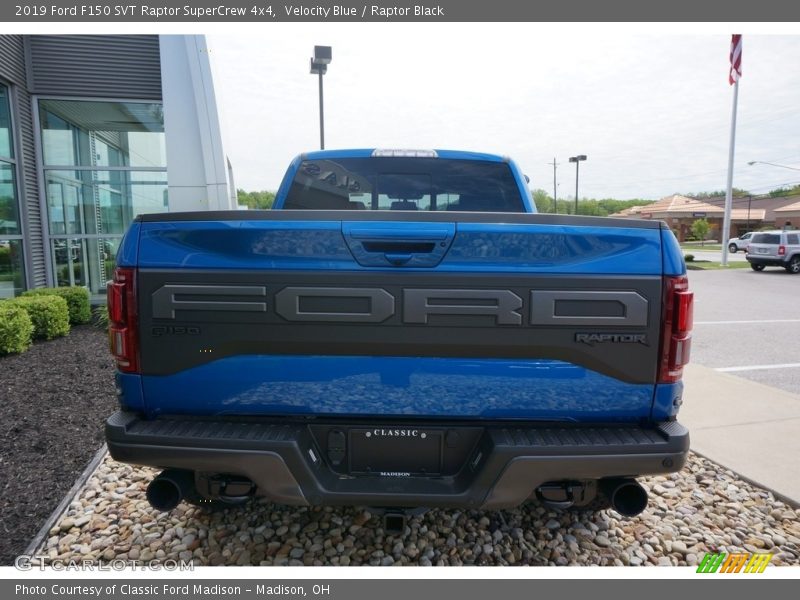 Velocity Blue / Raptor Black 2019 Ford F150 SVT Raptor SuperCrew 4x4