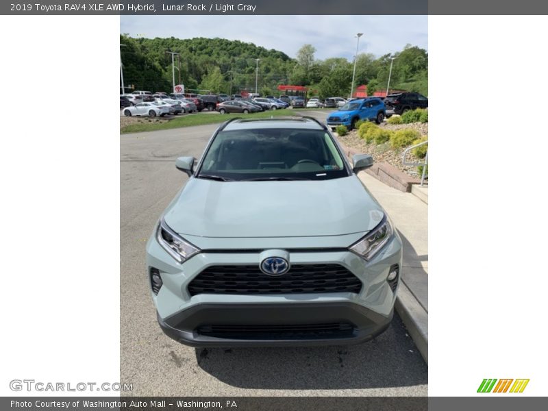 Lunar Rock / Light Gray 2019 Toyota RAV4 XLE AWD Hybrid