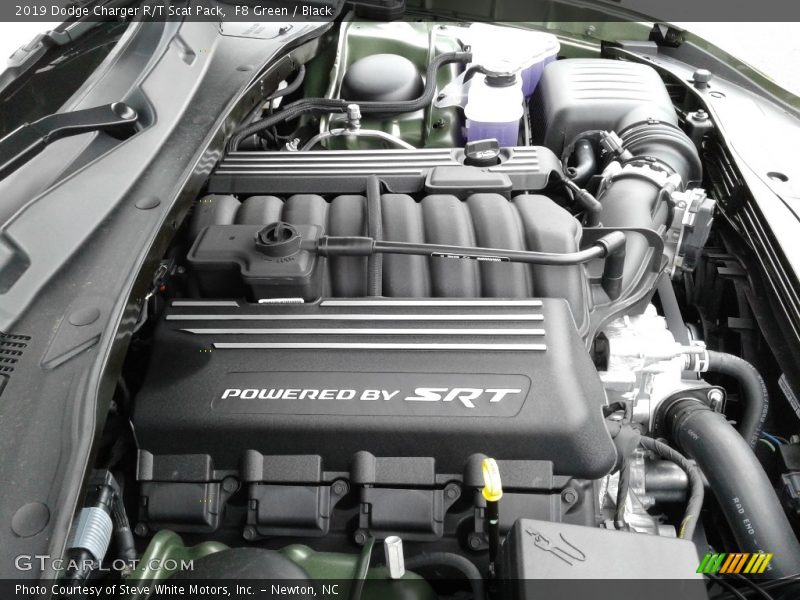 F8 Green / Black 2019 Dodge Charger R/T Scat Pack