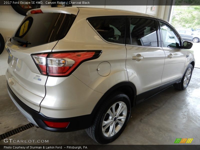 Canyon Ridge / Charcoal Black 2017 Ford Escape SE 4WD