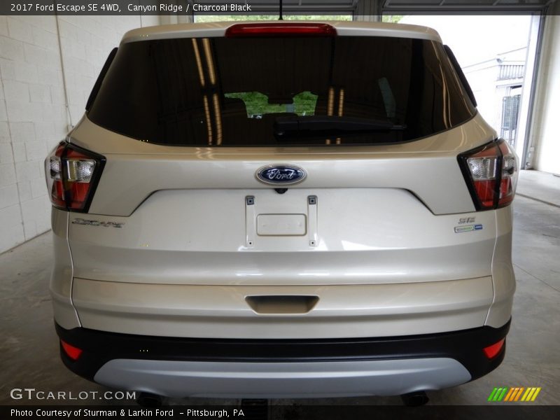 Canyon Ridge / Charcoal Black 2017 Ford Escape SE 4WD