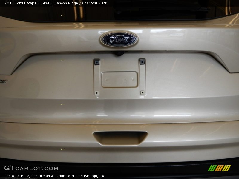 Canyon Ridge / Charcoal Black 2017 Ford Escape SE 4WD