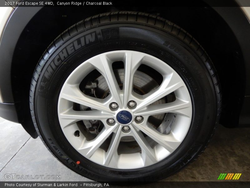Canyon Ridge / Charcoal Black 2017 Ford Escape SE 4WD