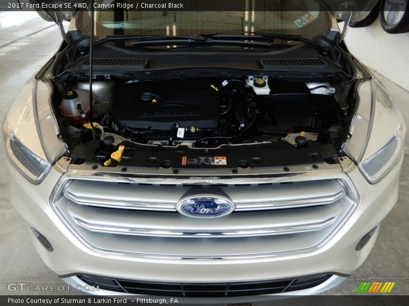 Canyon Ridge / Charcoal Black 2017 Ford Escape SE 4WD