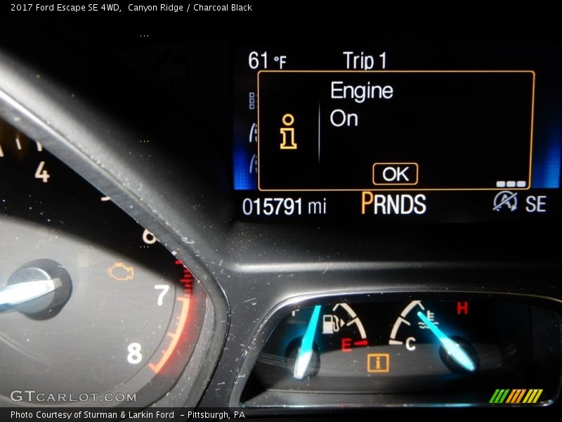Canyon Ridge / Charcoal Black 2017 Ford Escape SE 4WD