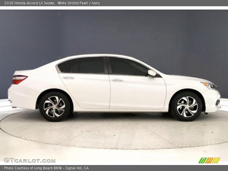 White Orchid Pearl / Ivory 2016 Honda Accord LX Sedan