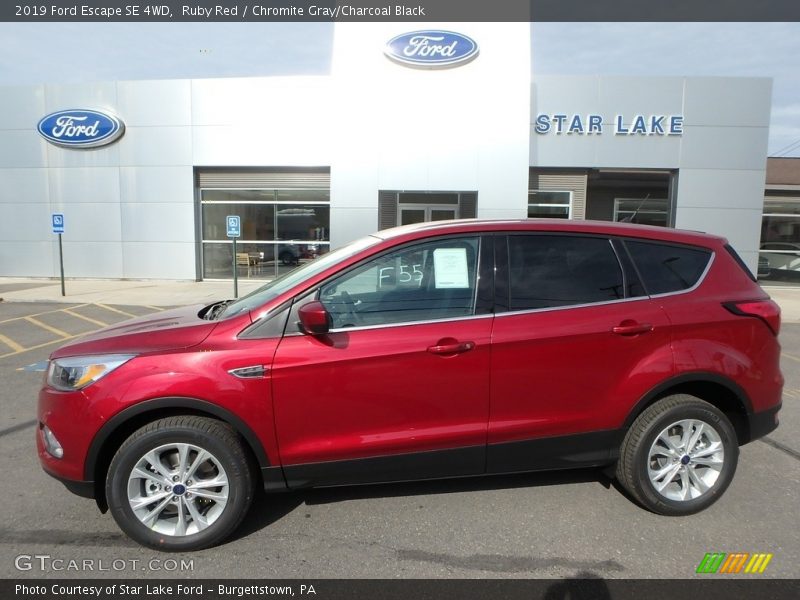 Ruby Red / Chromite Gray/Charcoal Black 2019 Ford Escape SE 4WD