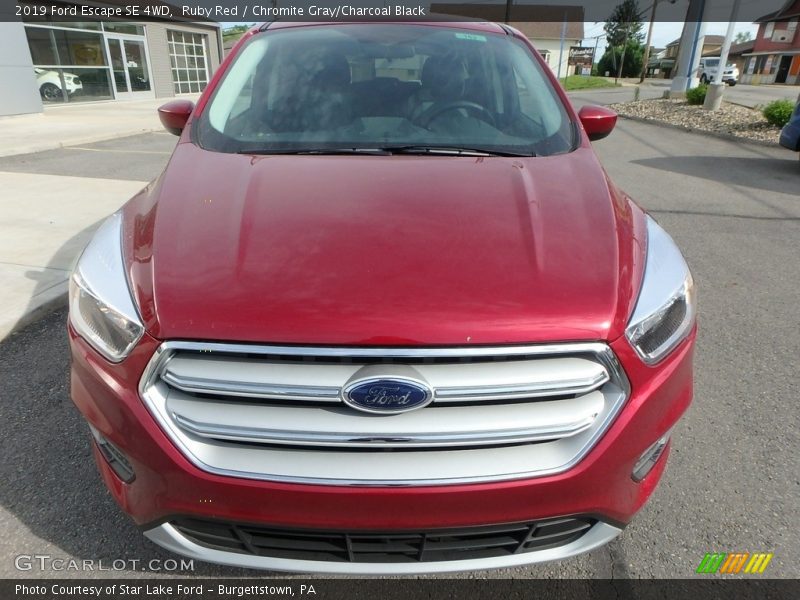 Ruby Red / Chromite Gray/Charcoal Black 2019 Ford Escape SE 4WD