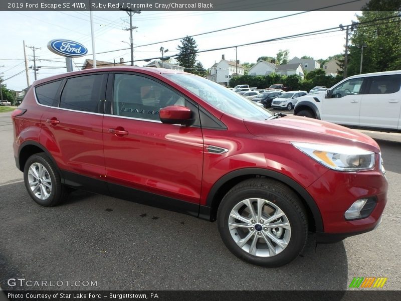 Ruby Red / Chromite Gray/Charcoal Black 2019 Ford Escape SE 4WD
