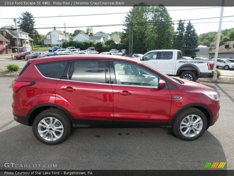 Ruby Red / Chromite Gray/Charcoal Black 2019 Ford Escape SE 4WD