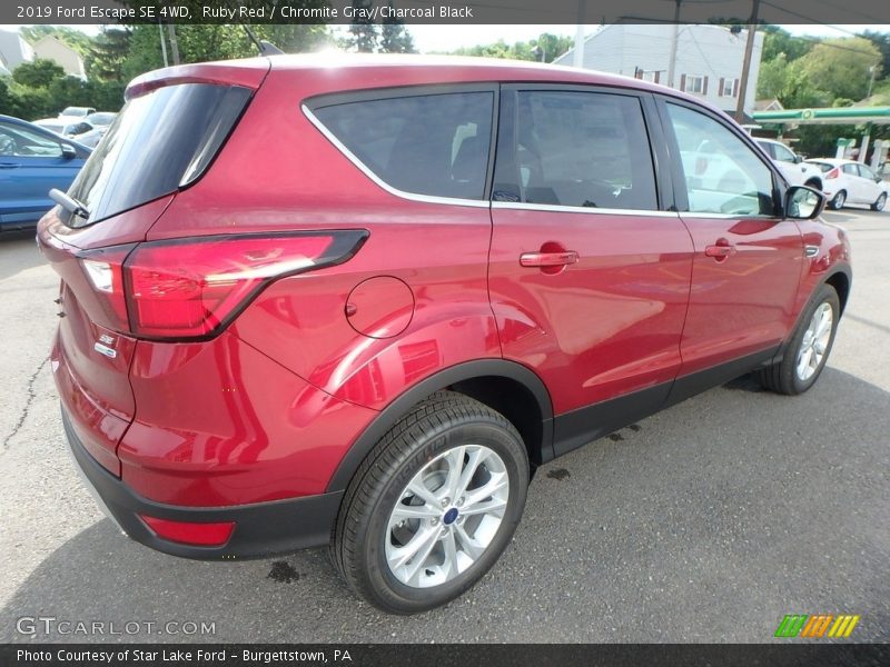 Ruby Red / Chromite Gray/Charcoal Black 2019 Ford Escape SE 4WD