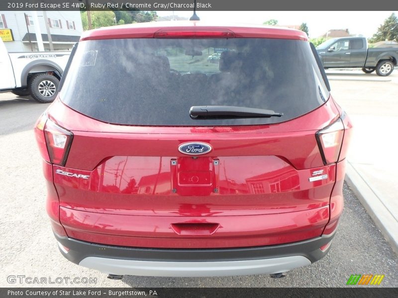 Ruby Red / Chromite Gray/Charcoal Black 2019 Ford Escape SE 4WD