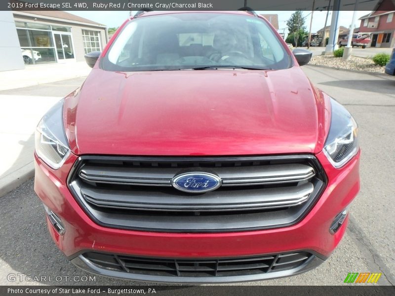 Ruby Red / Chromite Gray/Charcoal Black 2019 Ford Escape SEL 4WD