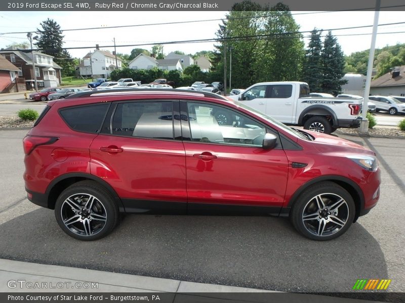 Ruby Red / Chromite Gray/Charcoal Black 2019 Ford Escape SEL 4WD
