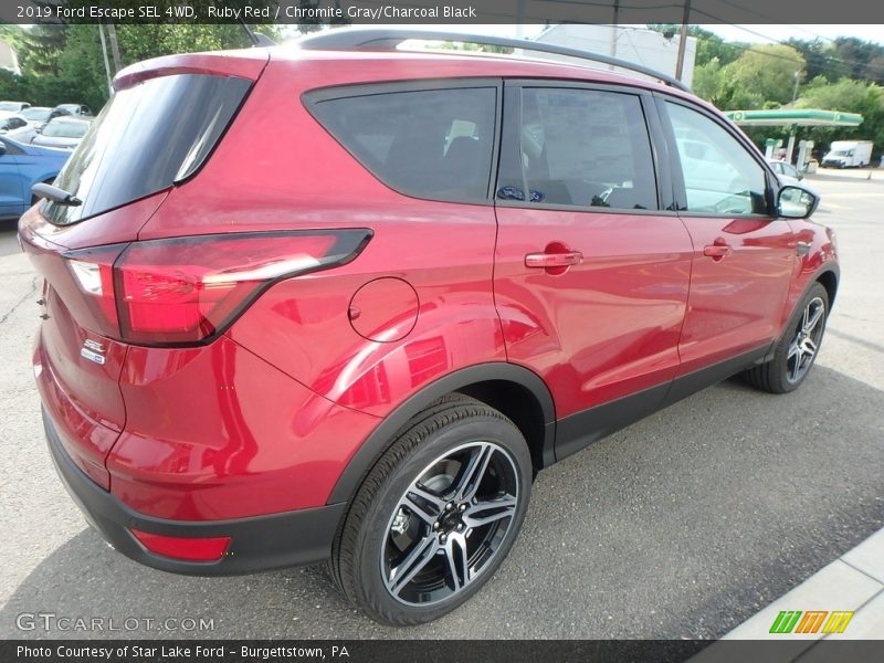 Ruby Red / Chromite Gray/Charcoal Black 2019 Ford Escape SEL 4WD