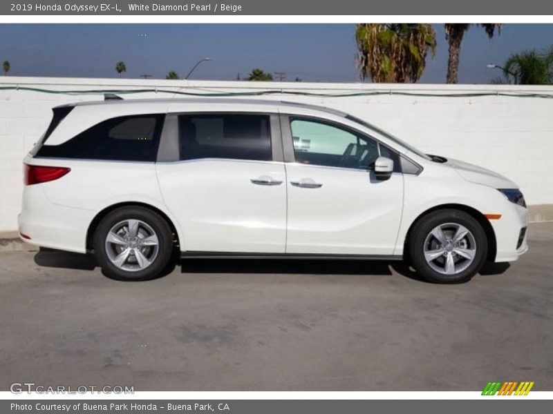 White Diamond Pearl / Beige 2019 Honda Odyssey EX-L