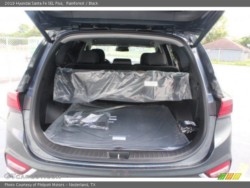 Rainforest / Black 2019 Hyundai Santa Fe SEL Plus