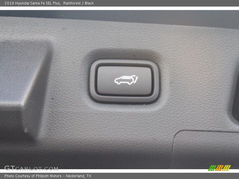 Rainforest / Black 2019 Hyundai Santa Fe SEL Plus