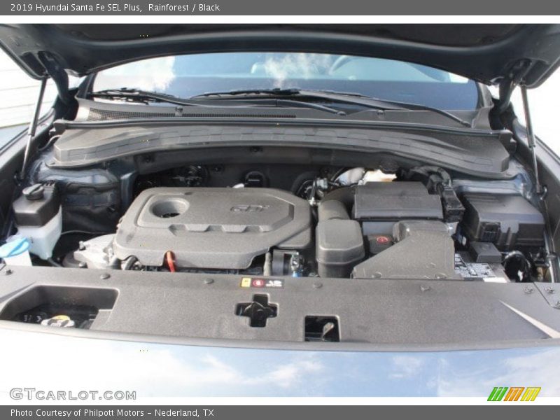 Rainforest / Black 2019 Hyundai Santa Fe SEL Plus