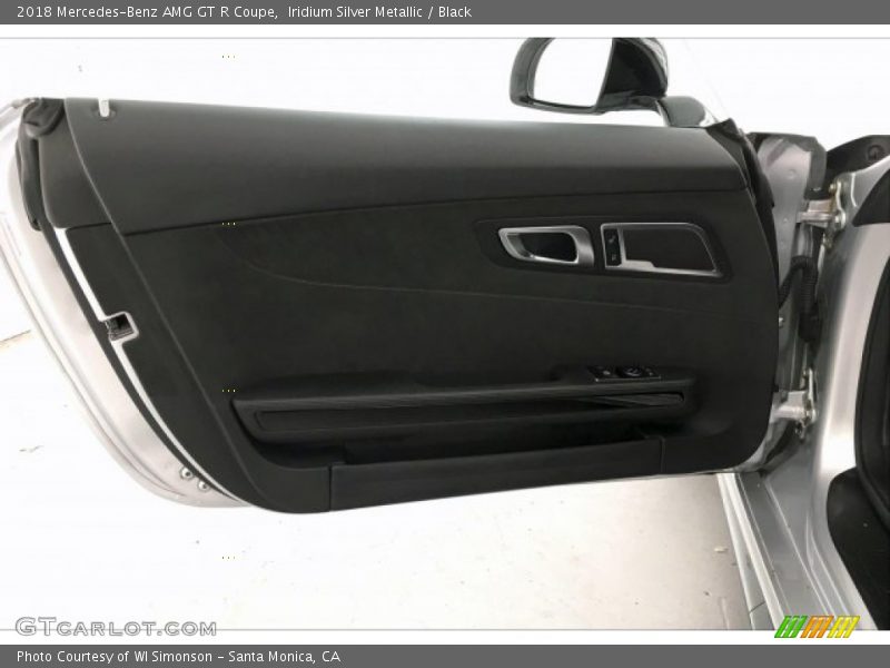 Door Panel of 2018 AMG GT R Coupe