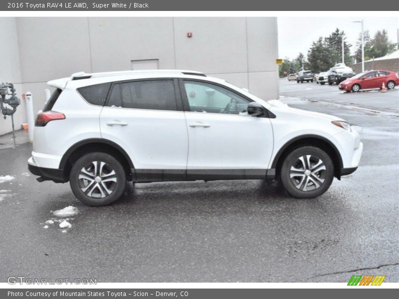 Super White / Black 2016 Toyota RAV4 LE AWD