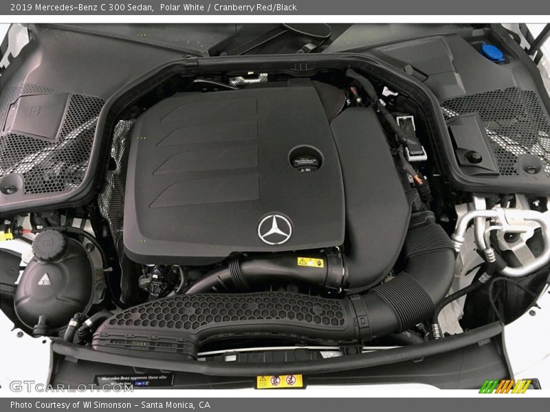 Polar White / Cranberry Red/Black 2019 Mercedes-Benz C 300 Sedan
