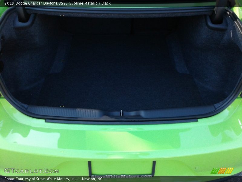 Sublime Metallic / Black 2019 Dodge Charger Daytona 392