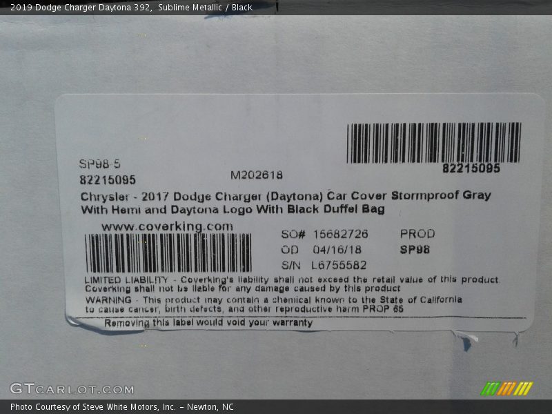 Sublime Metallic / Black 2019 Dodge Charger Daytona 392