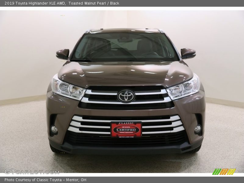 Toasted Walnut Pearl / Black 2019 Toyota Highlander XLE AWD