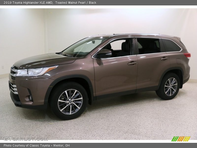 Toasted Walnut Pearl / Black 2019 Toyota Highlander XLE AWD