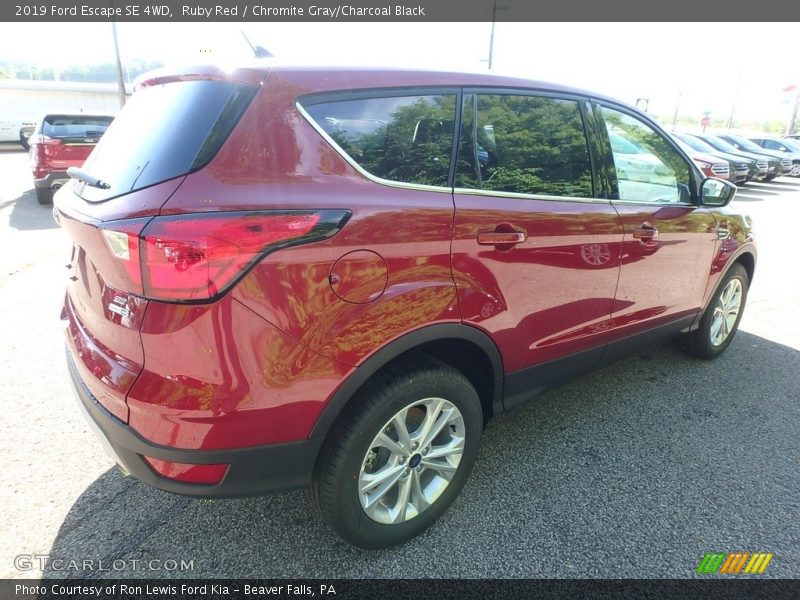 Ruby Red / Chromite Gray/Charcoal Black 2019 Ford Escape SE 4WD