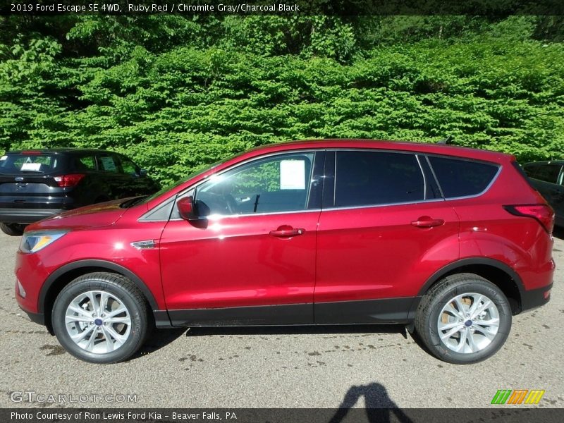 Ruby Red / Chromite Gray/Charcoal Black 2019 Ford Escape SE 4WD