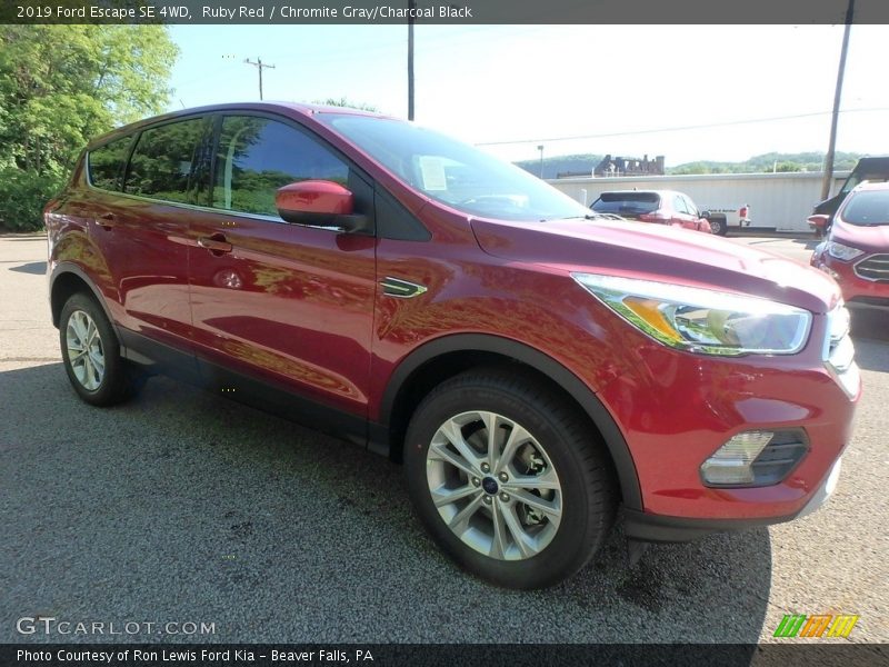 Ruby Red / Chromite Gray/Charcoal Black 2019 Ford Escape SE 4WD