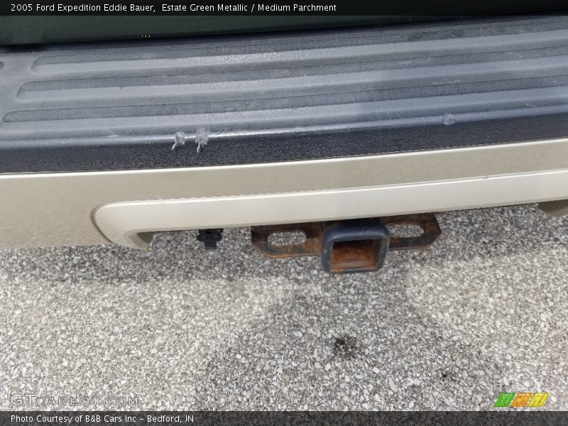 Estate Green Metallic / Medium Parchment 2005 Ford Expedition Eddie Bauer