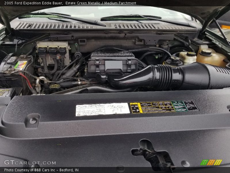 Estate Green Metallic / Medium Parchment 2005 Ford Expedition Eddie Bauer