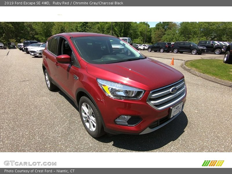 Ruby Red / Chromite Gray/Charcoal Black 2019 Ford Escape SE 4WD