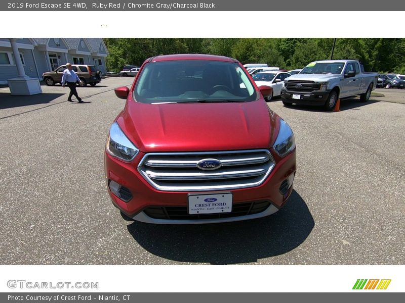Ruby Red / Chromite Gray/Charcoal Black 2019 Ford Escape SE 4WD