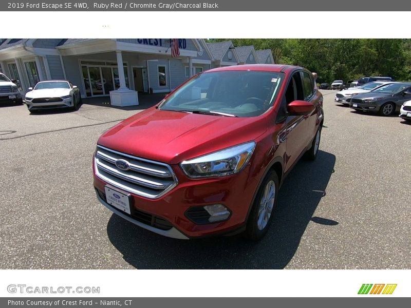 Ruby Red / Chromite Gray/Charcoal Black 2019 Ford Escape SE 4WD