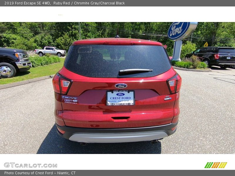 Ruby Red / Chromite Gray/Charcoal Black 2019 Ford Escape SE 4WD