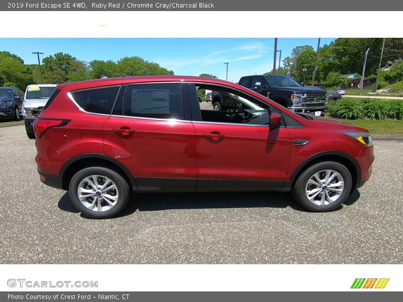 Ruby Red / Chromite Gray/Charcoal Black 2019 Ford Escape SE 4WD
