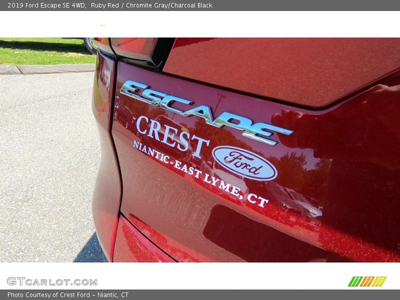 Ruby Red / Chromite Gray/Charcoal Black 2019 Ford Escape SE 4WD