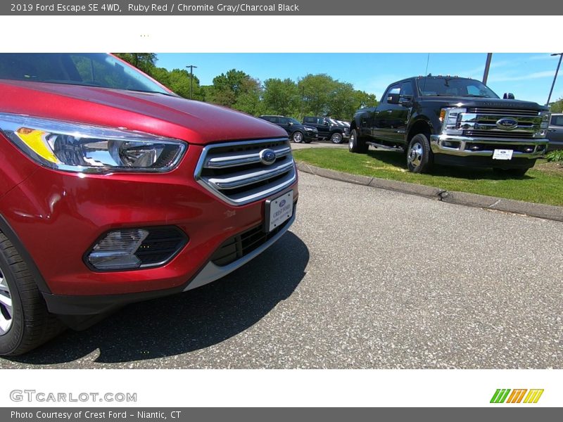 Ruby Red / Chromite Gray/Charcoal Black 2019 Ford Escape SE 4WD