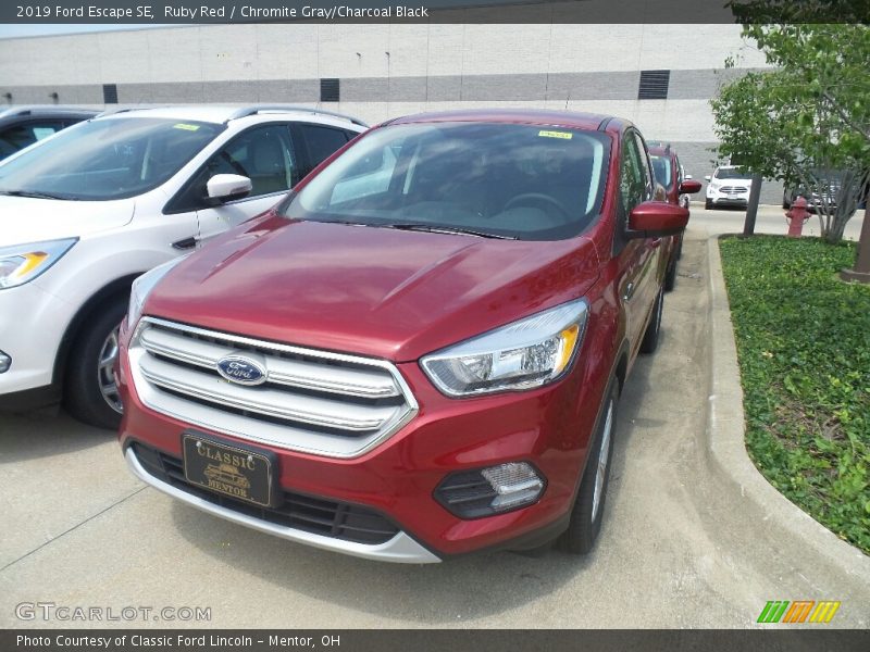 Ruby Red / Chromite Gray/Charcoal Black 2019 Ford Escape SE