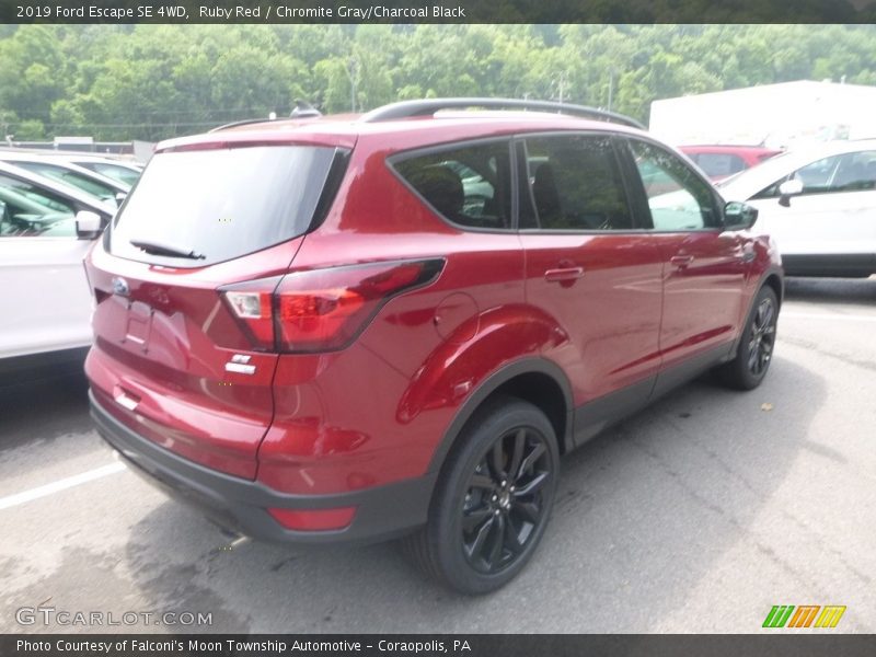 Ruby Red / Chromite Gray/Charcoal Black 2019 Ford Escape SE 4WD
